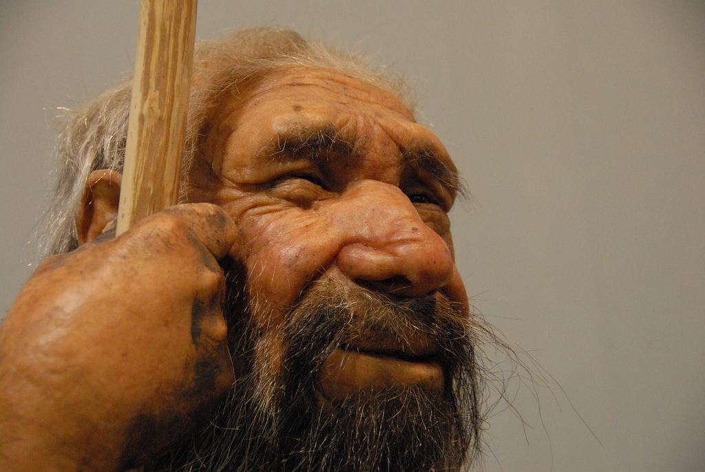 Neanderthal man reconstruction