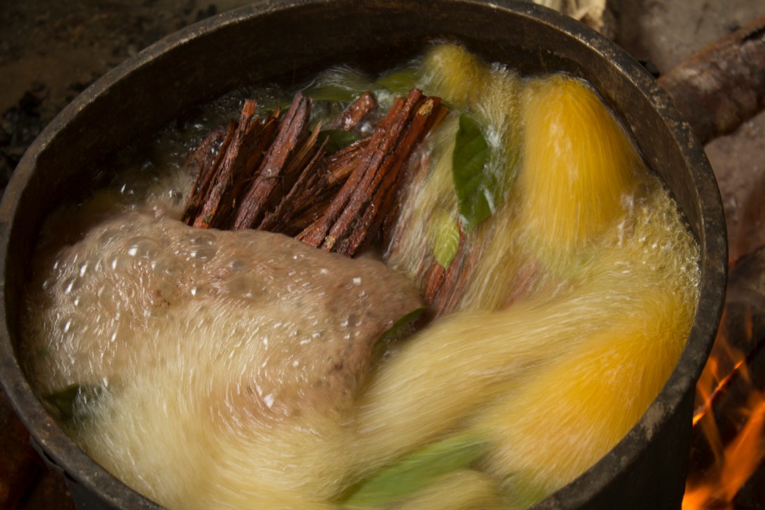 ayahuascaLarge