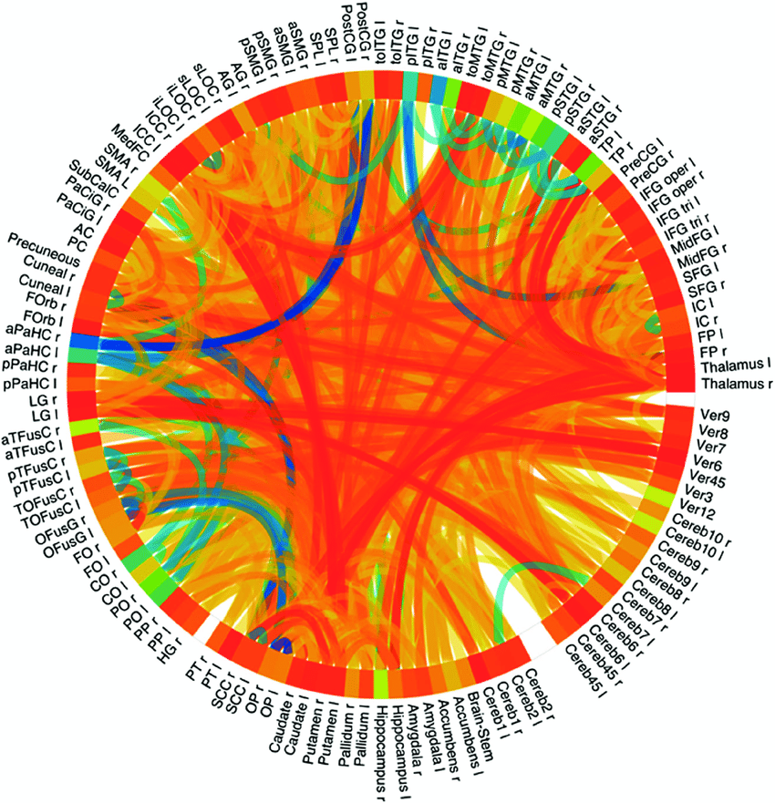 LSD functional connectivity ring