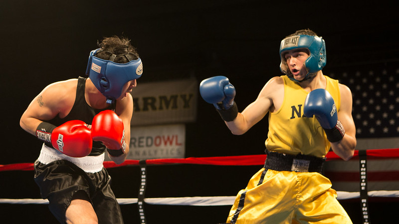 boxing-fight-or-flight